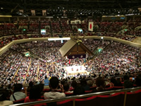 Sumo
